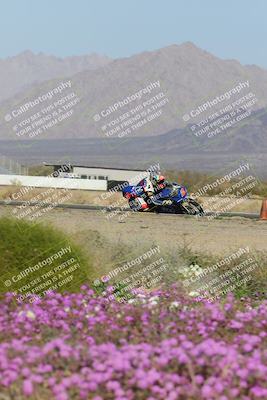 media/Feb-04-2023-SoCal Trackdays (Sat) [[8a776bf2c3]]/Turn 15 Inside Blooming (1050am)/